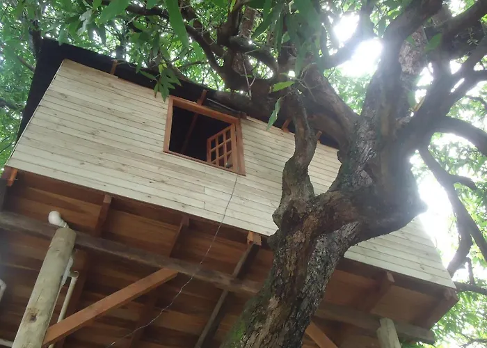 Casa na Árvore Salvador